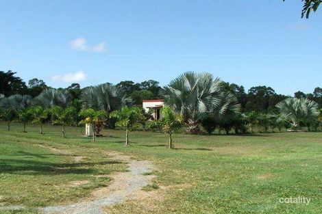 Property photo of 1698 Conway Road Conway QLD 4800