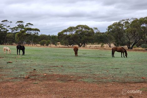 Property photo of 32 Second Road Bejoording WA 6566