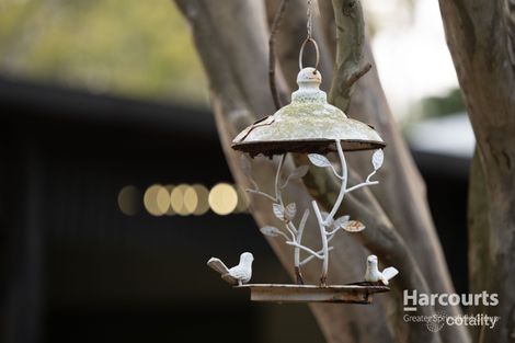 Property photo of 48-58 Blackbean Street Cedar Vale QLD 4285