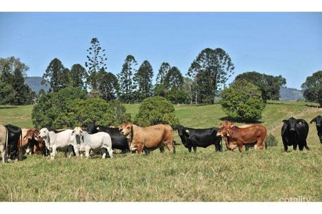 210 Mooloo Rd, Mooloo, QLD 4570