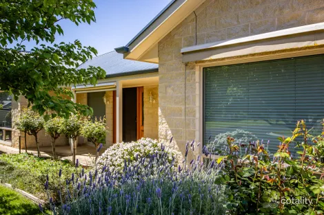 Property photo of 30 Panorama Crescent Naracoorte SA 5271