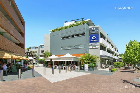 Property photo of 2/55 Carter Street Cammeray NSW 2062