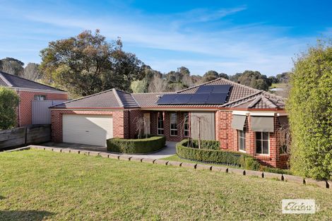 Property photo of 12 Koendidda Court Wodonga VIC 3690