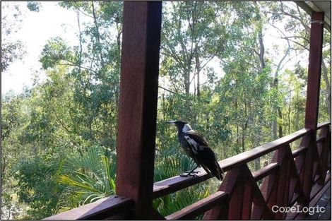 Property photo of 53-61 Vonda Youngman Drive Tamborine QLD 4270
