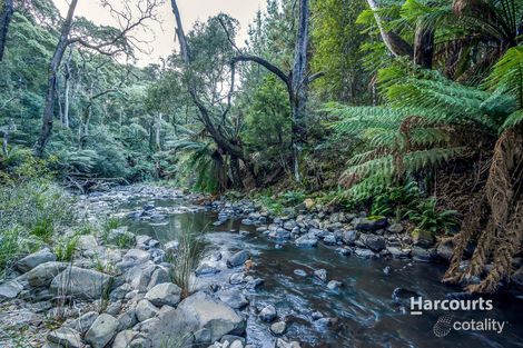 Property photo of 185 Metaira Road Ridgley TAS 7321
