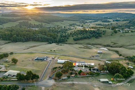 Property photo of 37 Scotts Court Acacia Hills TAS 7306