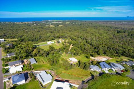 21 Azalea Cres, Tallwoods Village, NSW 2430