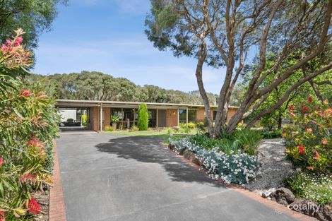 Property photo of 167 Melbourne Road Rye VIC 3941
