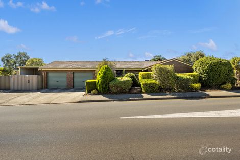 50 Noritake Rd, Modbury Heights, SA 5092
