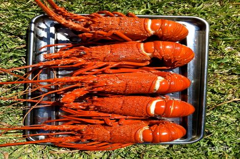 Property photo of 16 Wedge Street Ledge Point WA 6043