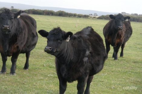 1399 Memana Rd, Memana, TAS 7255