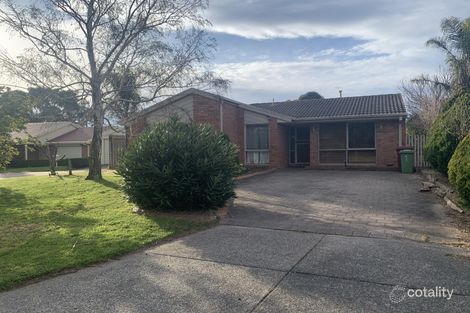 Property photo of 11 Berridale Court Hampton Park VIC 3976