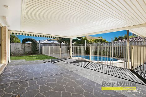 Property photo of 44 Solandra Street Wynnum West QLD 4178