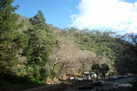 Property photo of 15A McAllan Avenue Burnside SA 5066