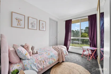 Property photo of 2-6 Waratah Place Cedar Vale QLD 4285