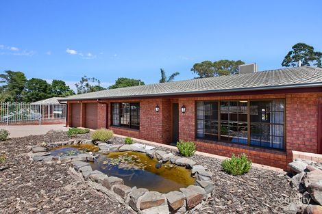 Property photo of 68 Hamilton Road Fairview Park SA 5126