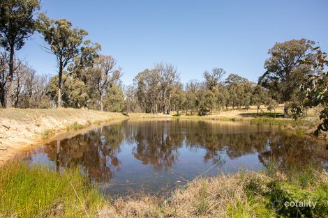 462 Rays Rd, Black Mountain, NSW 2365