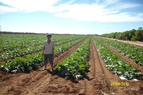 563 North River Rd, North Plantations, WA 6701