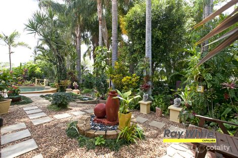 10 Randwick St, Capalaba, QLD 4157