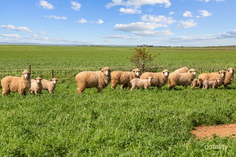 Property photo of 314 Windview Road Snowtown SA 5520