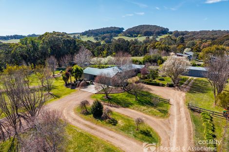 Property photo of 24 Tomlinson Road Beechworth VIC 3747