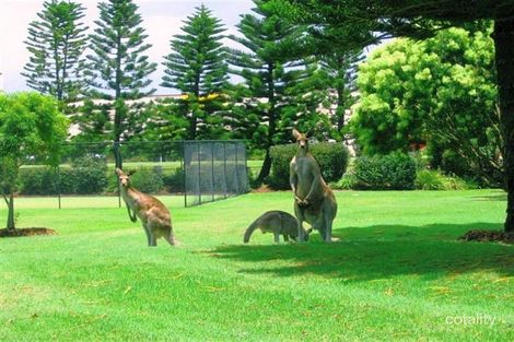 Property photo of 122/19 Santa Barbara Road Hope Island QLD 4212