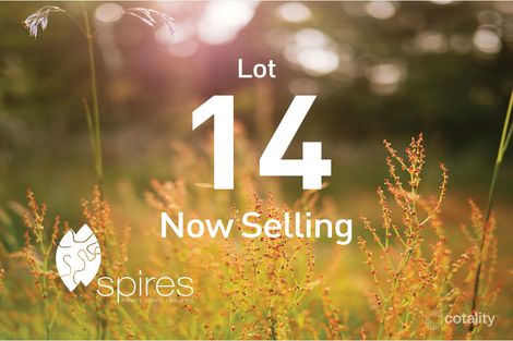 16 Pantheon Rd, Baldivis, WA 6171