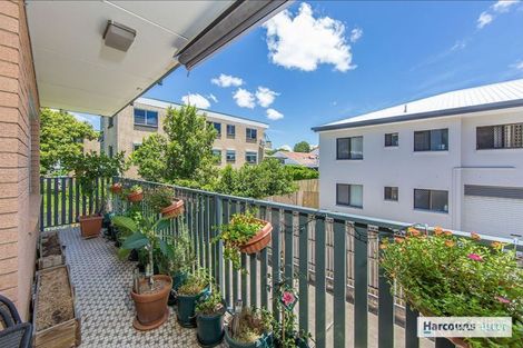Property photo of 3/20 Napier Street Ascot QLD 4007