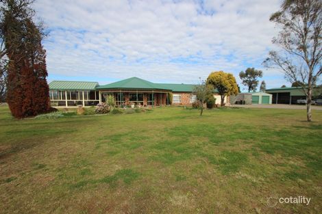 131 Minimbah Dr, Whittingham, NSW 2330