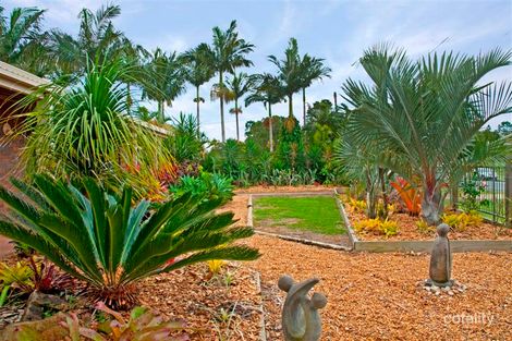 Property photo of 94 Maple Street Cooroy QLD 4563