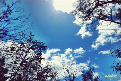 Property photo of 84 Thyme Avenue Forest Ridge QLD 4357