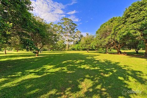 Property photo of 6 Appaloosa Court Mudgeeraba QLD 4213