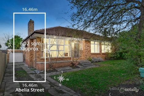 Property photo of 10 Abelia Street Forest Hill VIC 3131