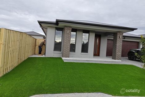 Property photo of 19 Shell Street Nerang QLD 4211