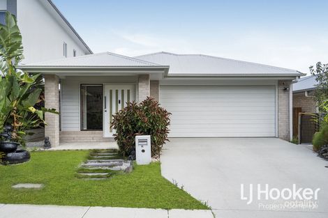 Property photo of 11 Dorrigo Street Yarrabilba QLD 4207