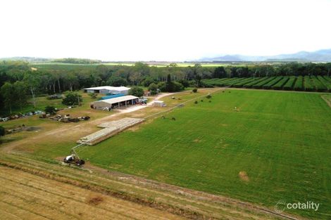 323 Malone Rd, Mareeba, QLD 4880