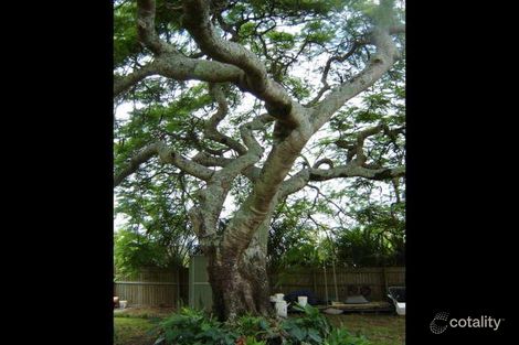 Property photo of 19 Mountainview Place Glass House Mountains QLD 4518