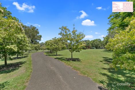 Property photo of 38 Carnaby Street Bidwill QLD 4650