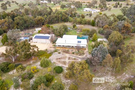 Property photo of 50 Lorimer Road Naracoorte SA 5271