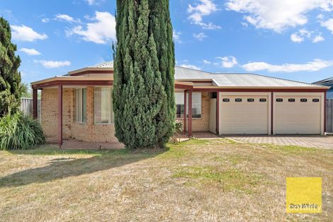 Property photo of 15 Truscott Elbow Alexander Heights WA 6064