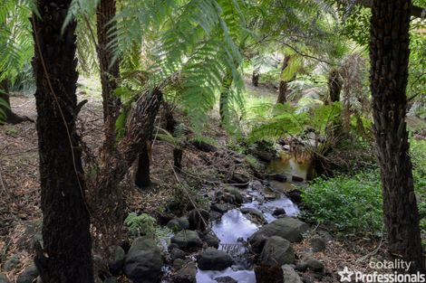 Property photo of 3 Riverside Drive Warburton VIC 3799