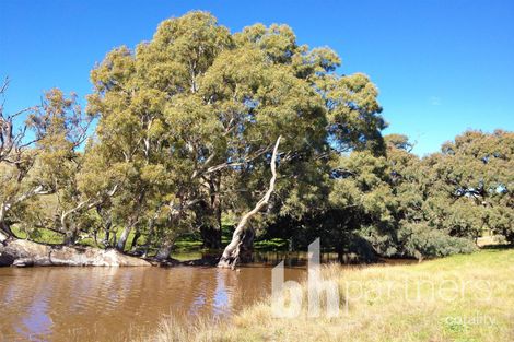 306 Strachans Rd, Springton, SA 5235