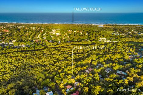 Property photo of 43 Lilli Pilli Drive Byron Bay NSW 2481