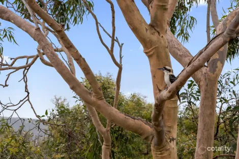 Property photo of 47 Belton Street Anglesea VIC 3230