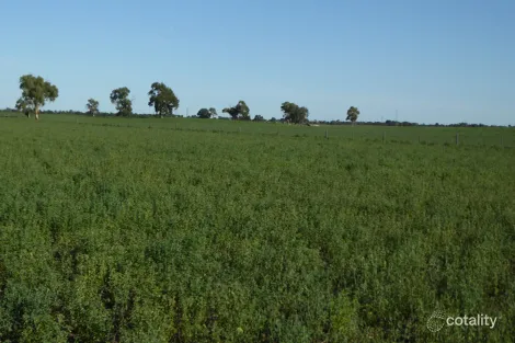 1708 Riddoch Hwy, Keith, SA 5267