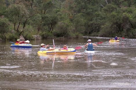 3677 Paddys Flat Rd, Paddys Flat, NSW 2469