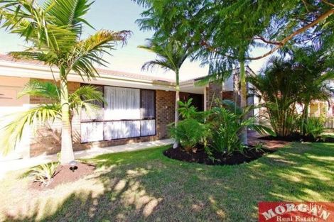 152 Rostrata Ave, Willetton, WA 6155