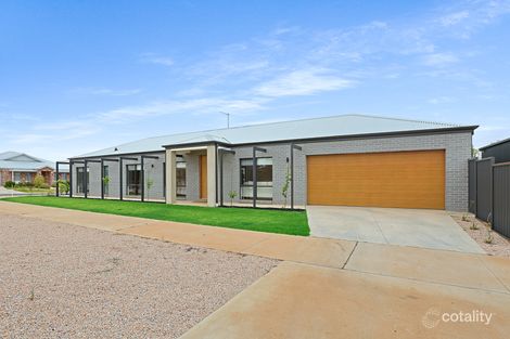 Property photo of 33 Calotis Street Red Cliffs VIC 3496