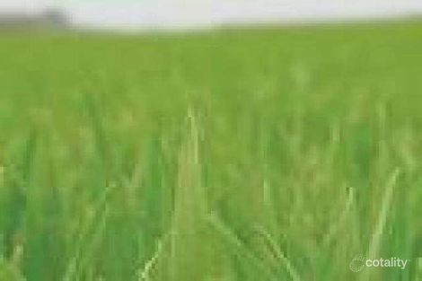 533 Vulture St E, East Brisbane, QLD 4169