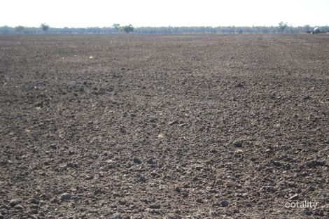 215 Wilgaroo Rd, Urawilkie, NSW 2829